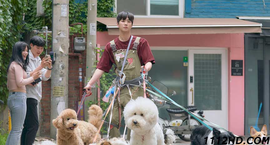 May I Help You ซับไทย