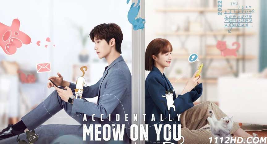 ดูซีรี่ย์ Accidentally Meow on You (2022) ซับไทย