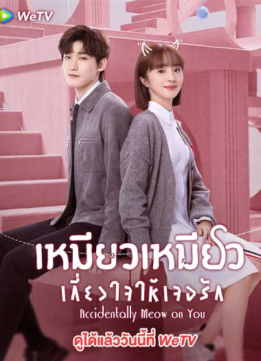 ดูซีรี่ย์ Accidentally Meow on You (2022) เหมียวเหมียวเกี่ยวใจให้เจอรัก ตอนที่1-24 ตอน ซับไทย