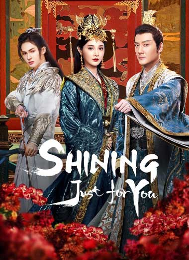 ซีรี่ย์จีน Shining Just for You พากย์ไทย