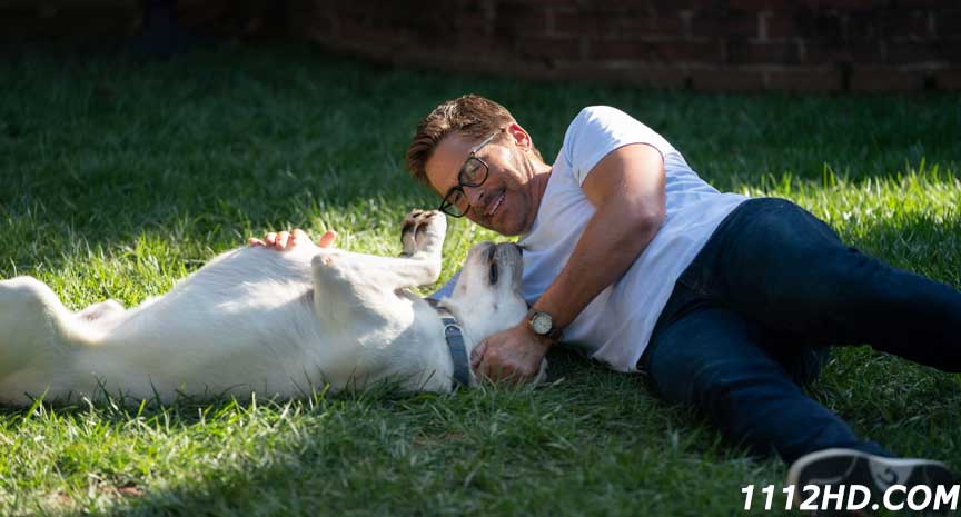 Dog Gone (2023) หมาหลง พากย์ไทย