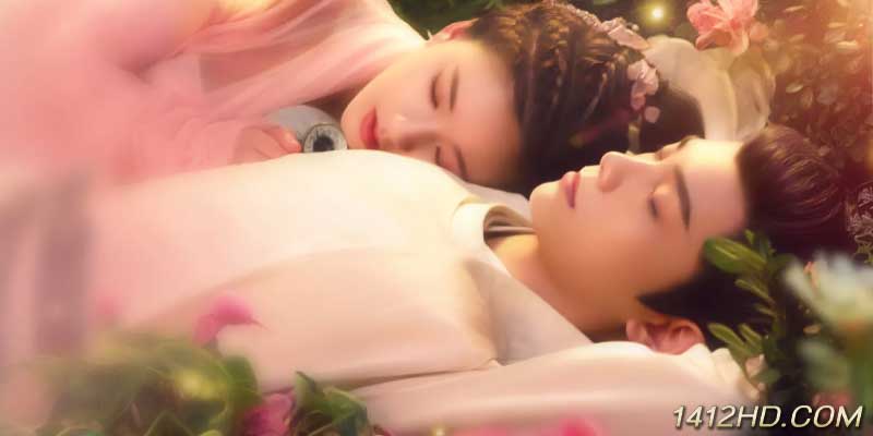 The Romance of Tiger and Rose