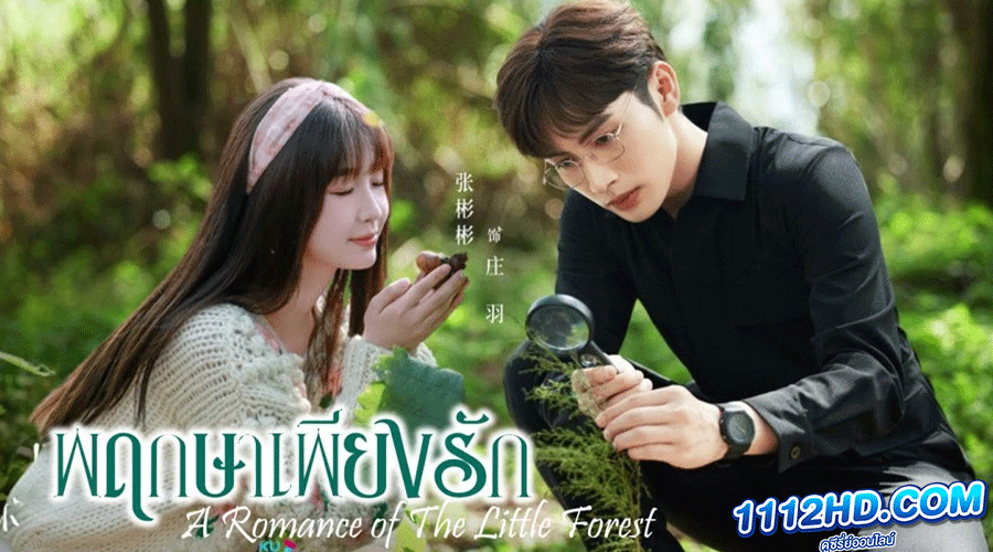 ซีรี่ย์จีน A Romance of the Little Forest พากย์ไทย