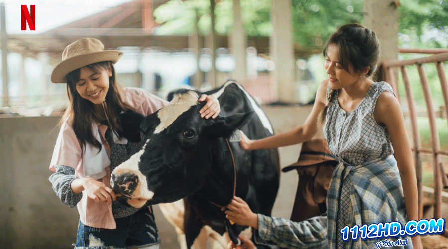 เดอะ ชีส ซิสเตอร์ (2022) เต็มเรื่อง 