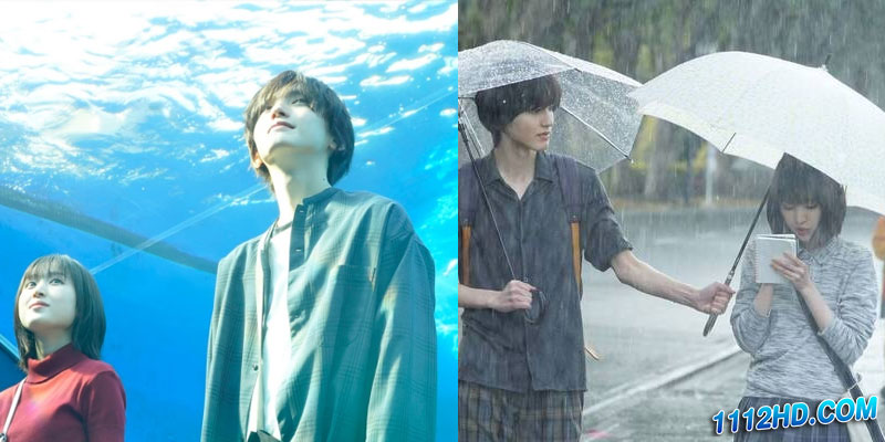 ดูหนัง คืนฝันก่อนฉันลืมเธอ