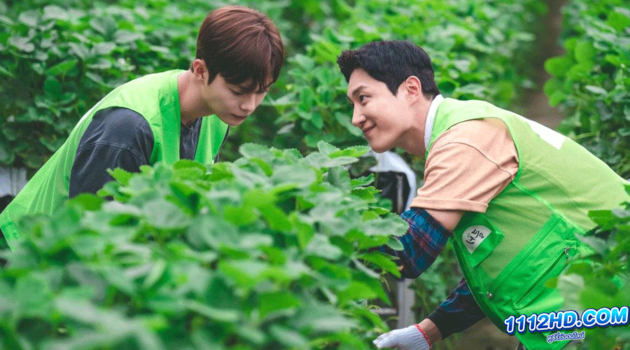 ดูซีรี่ย์ Love Tractor