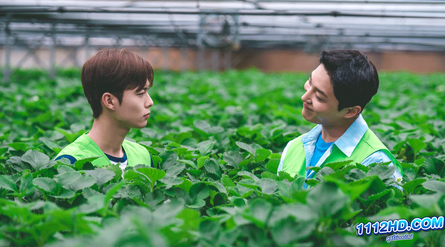 Love Tractor บรรทุกหัวใจใส่แทรกเตอร์ ซับไทย