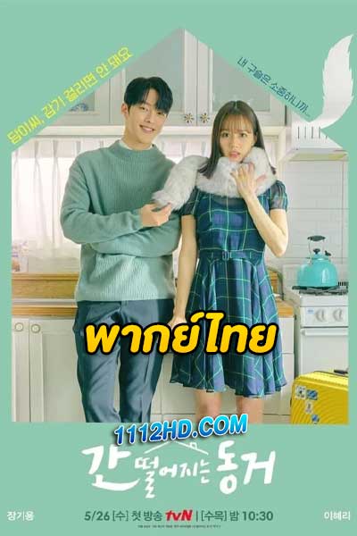 รูมเมตฉันคือคุณชายจิ้งจอกพากย์ไทย