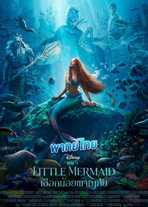 The Little Mermaid เงือกน้อยผจญภัย (2023)
