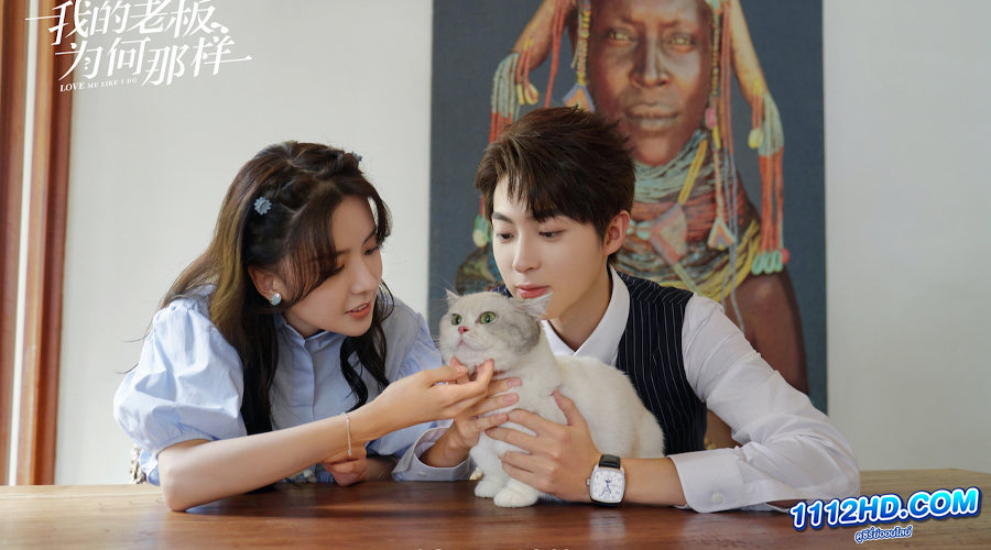 ดูซีรี่ย์ วุ่นรักมัดใจท่านประธาน (พากย์ไทย) 