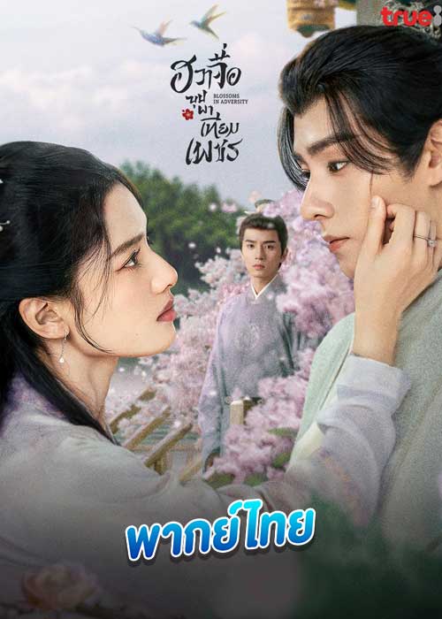 ดูซีรี่ย์ Blossoms in Adversity (2024) ฮวาจื่อ บุปผาเทียมเพชร (พากย์ไทย) EP.1-40 (จบ)