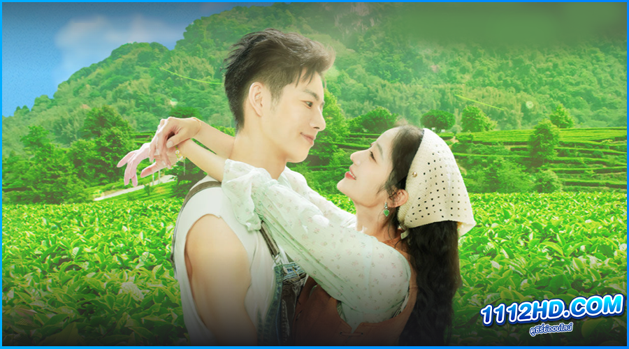 ดูซีรี่ย์ รักเกิดในสวนชา Love in the Tea Garden