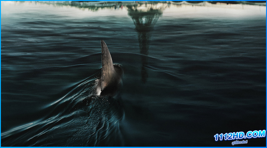 มฤตยูใต้ปารีส Under Paris (2024) พากย์ไทย 