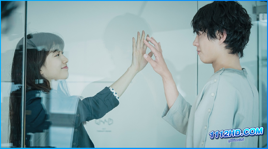 ดูหนัง Wonderland​ วันเดอร์แลนด์