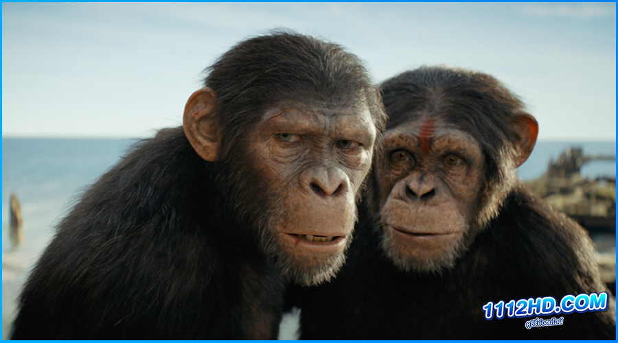  อาณาจักรแห่งพิภพวานร (2024) Kingdom of the Planet of the Apes