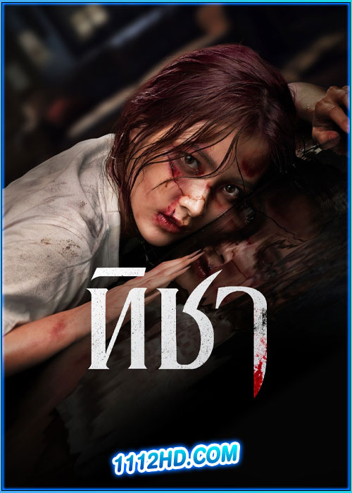 ทิชา TICHA (2024)