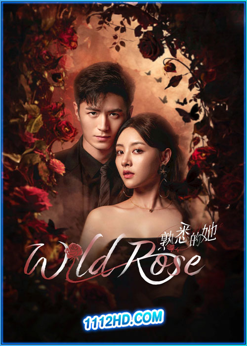 ดูซีรี่ย์ ทวงแค้นได้รัก Wild Rose